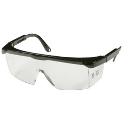 Lunette de protection (x1)